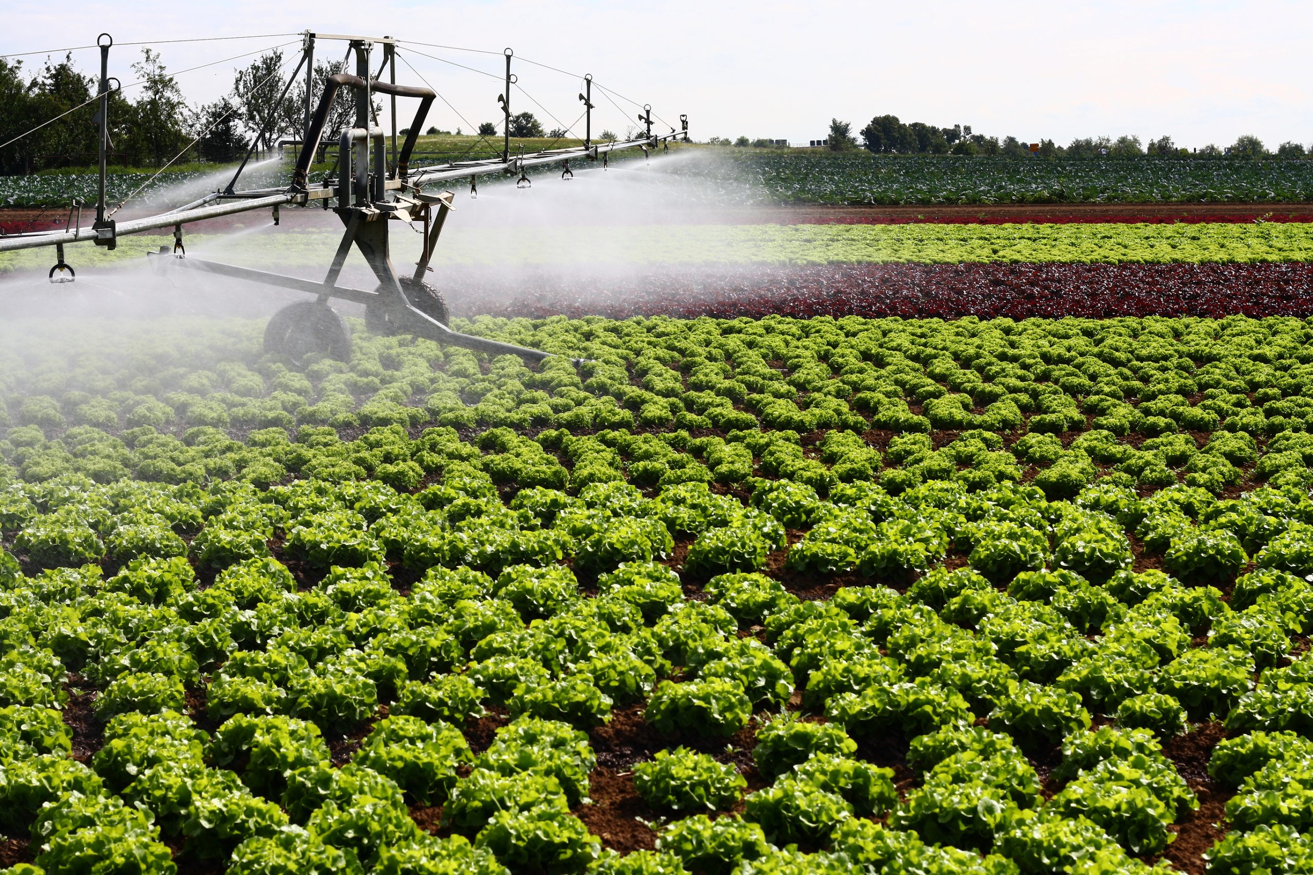 Modern Irrigation System