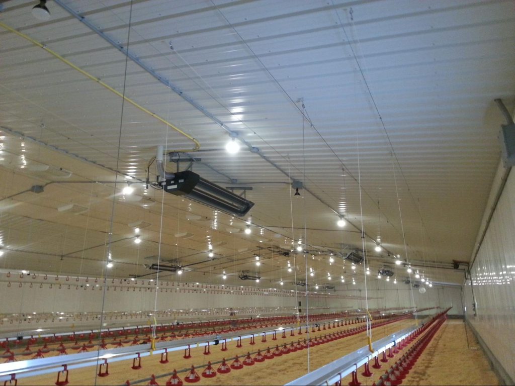 Agricultural space with electrical automation in Kneehill county to achieve higher productivity, efficiency, and safety levels.