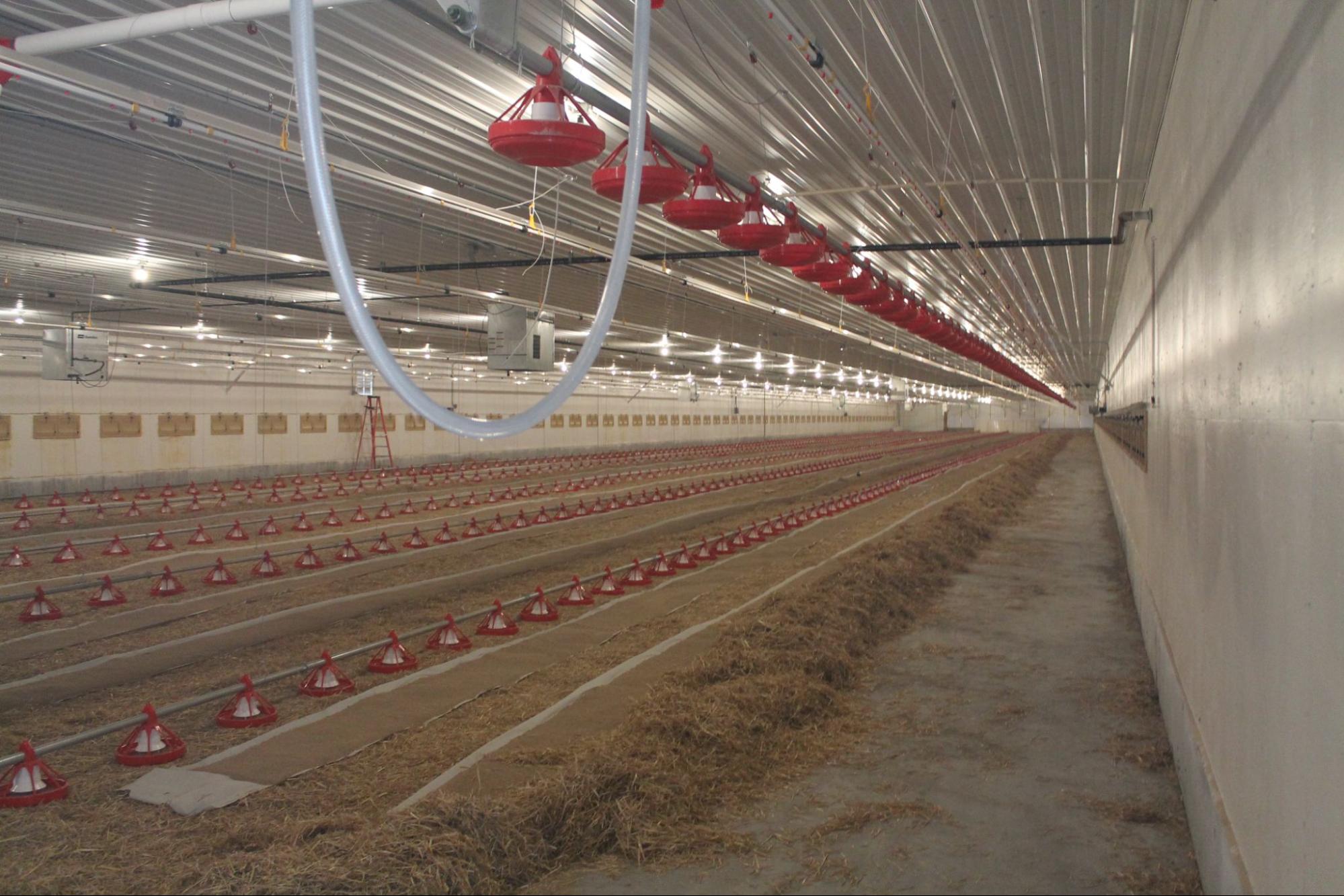 Farm electrical maintenance that builds awareness to respond quickly and prevent damage before it spreads.