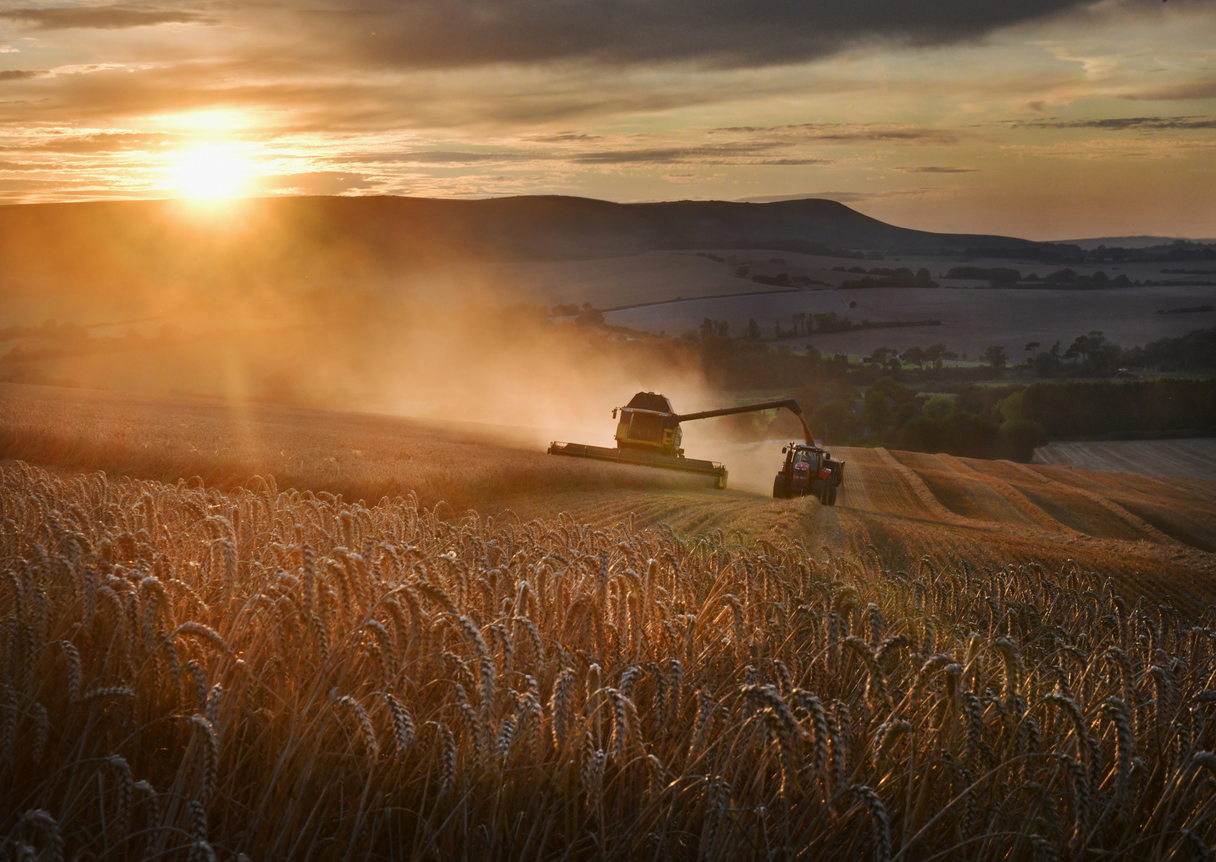An overview of electrical maintenance for farms to avoid issues during harvest season.
