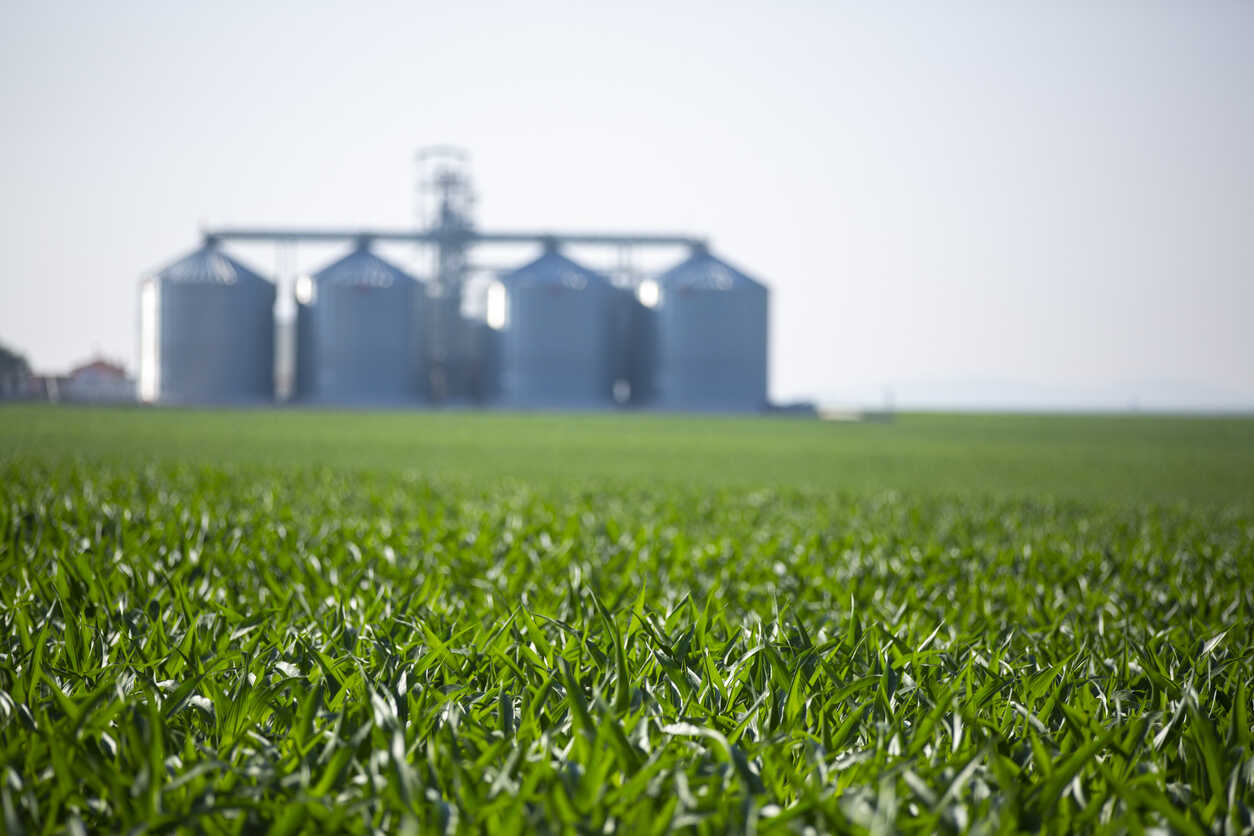 Grain dryer electrical maintenance highlighting the importance of maintaining crop quality and efficiency on the farm.
